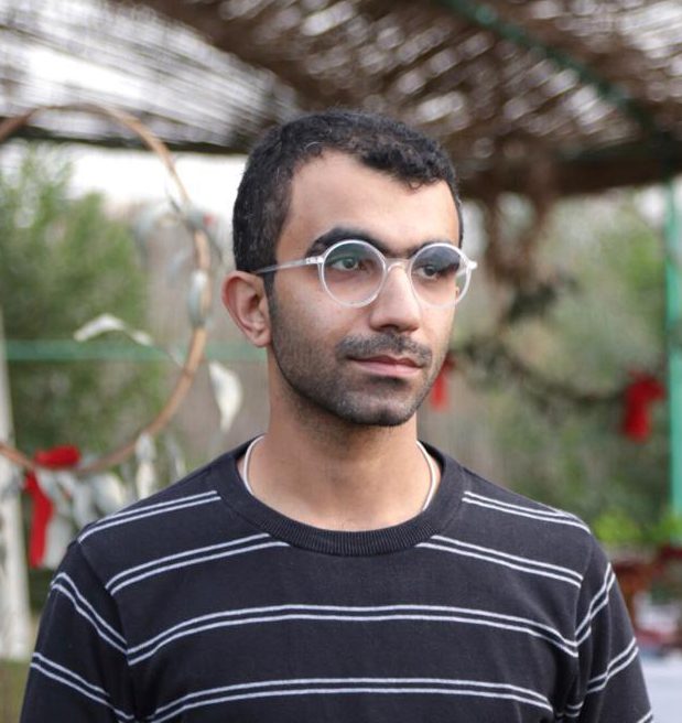 محمد حمامة